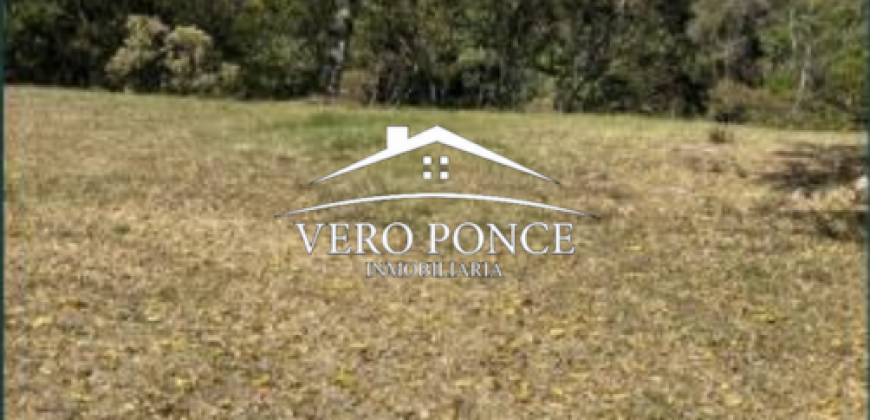VENTA – TERRENO CAMPESTRE – 2501 051
